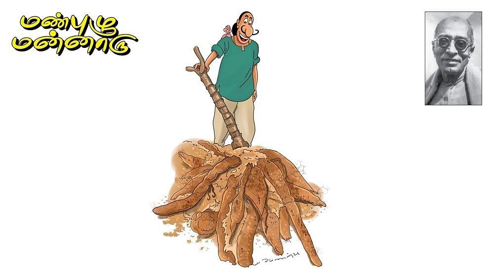 மண்புழு மன்னாரு