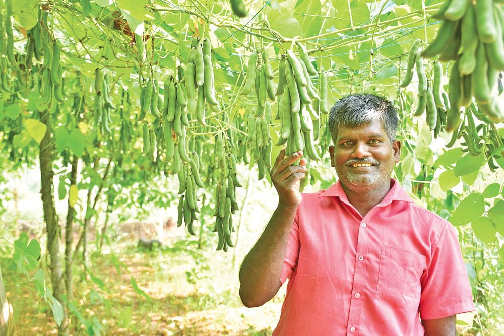 தோட்டத்தில்