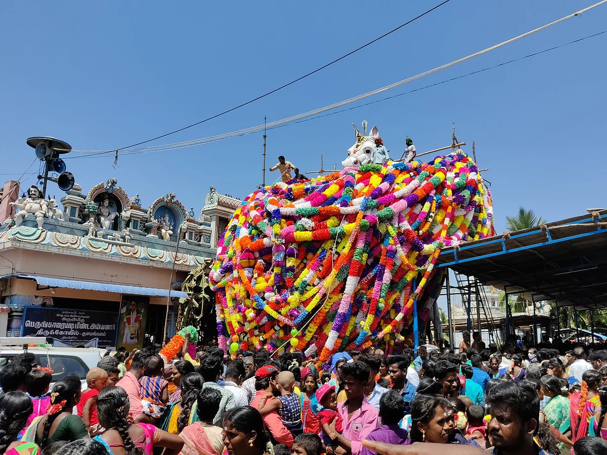 புதுக்கோட்டை: ஆசியாவின் மிகப்பெரிய குதிரை சிலைக்குக் குவிந்த மாலைகள்... களைகட்டிய மாசிமகத் திருவிழா!