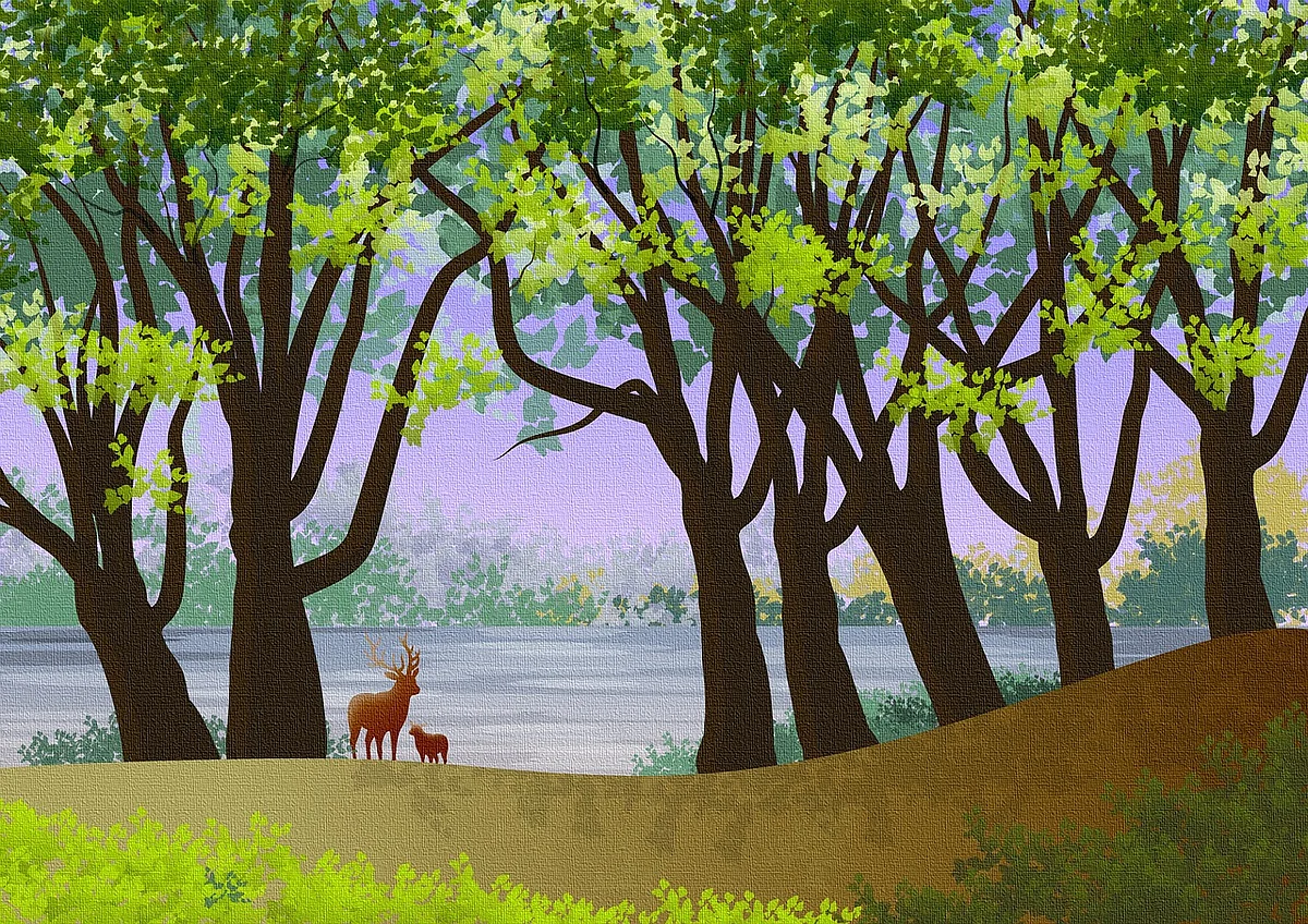 Deer