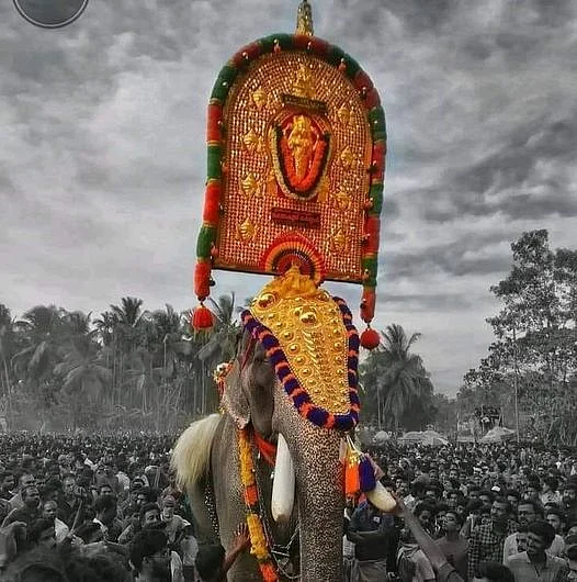 கர்ணன் யானை
