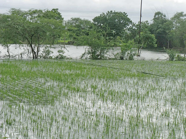 விவசாயம்
