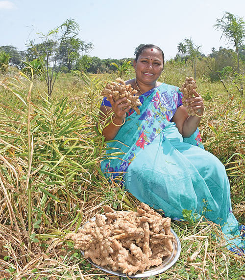 முத்துலெட்சுமி