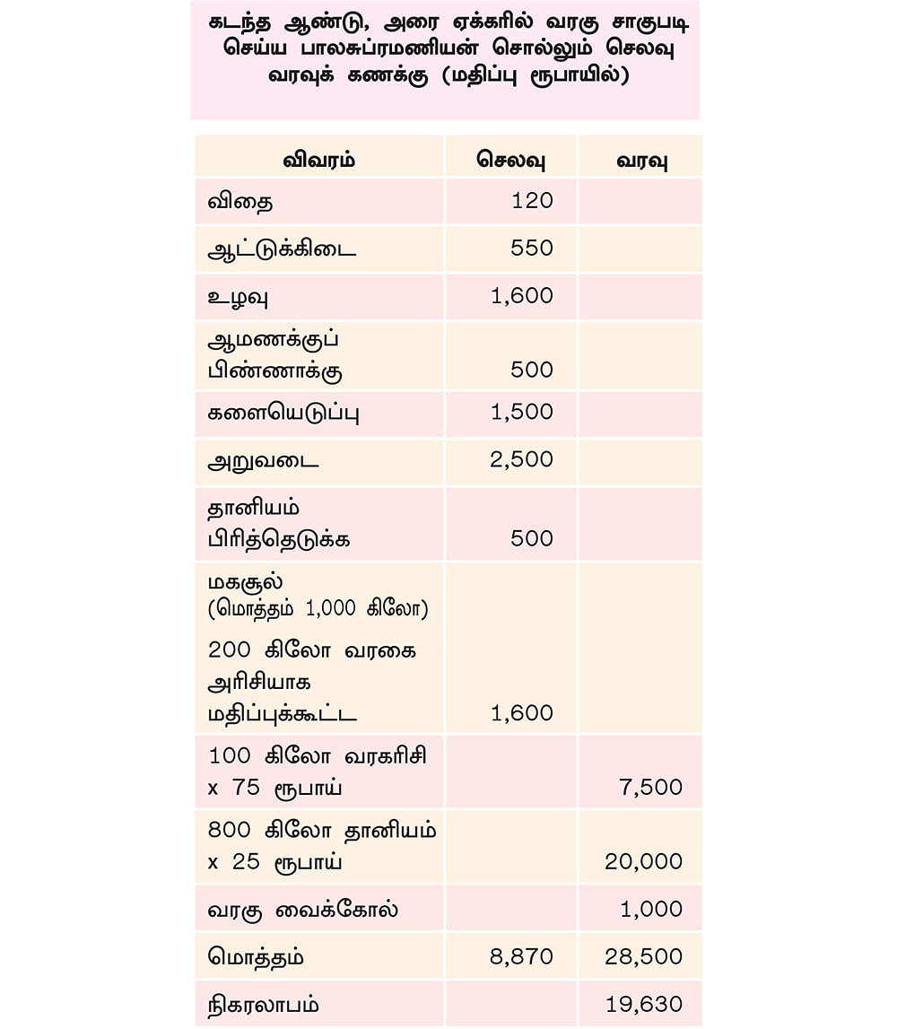 காலை வாரிய பருத்தி, மக்காச்சோளம்... கைகொடுத்த மானாவாரி வரகு!