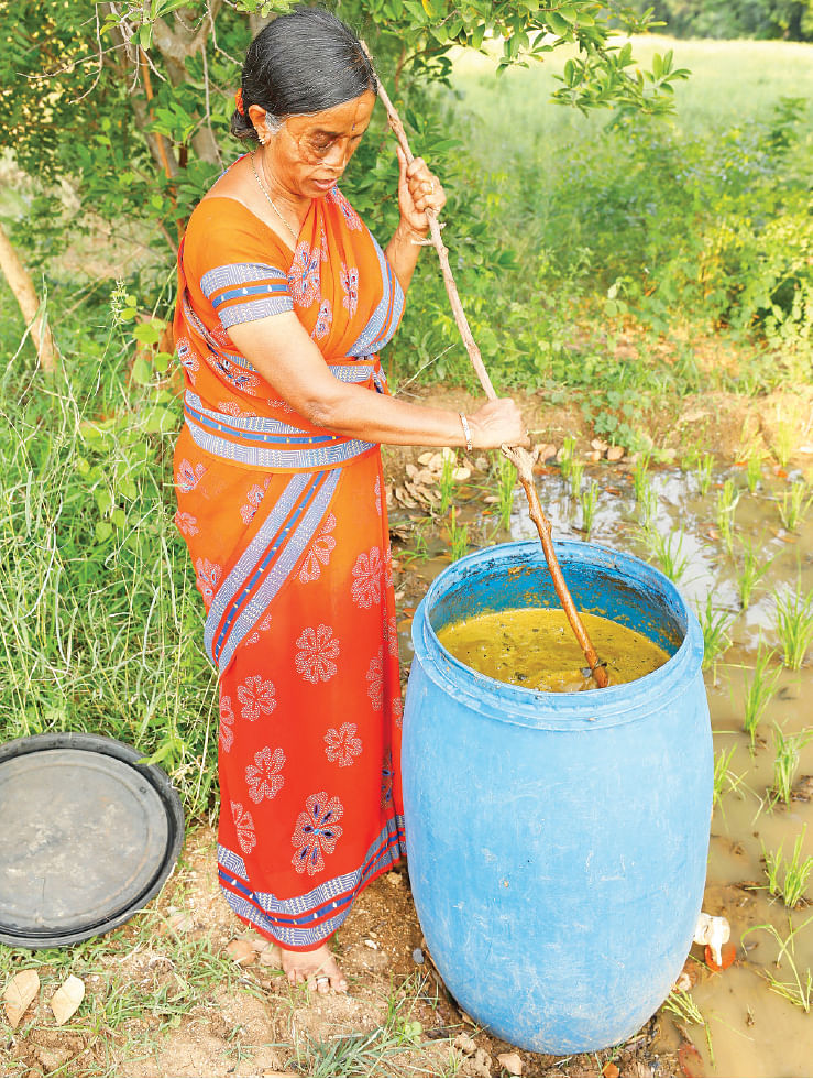 இயற்கை விவசாய தொழில்நுட்பங்கள்