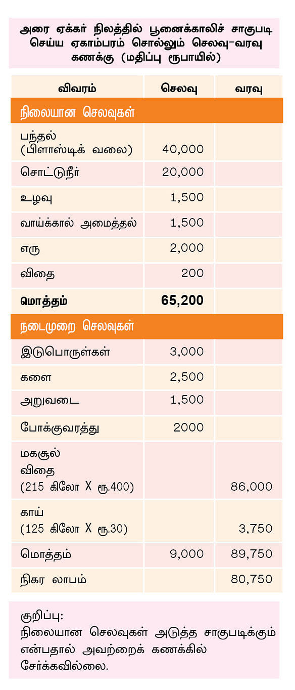 அட்டவணை