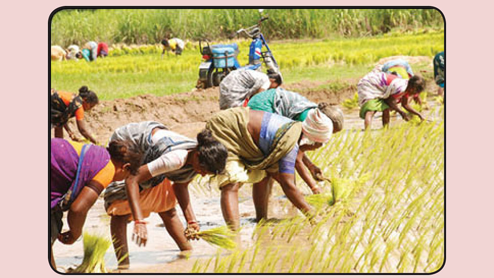 பசுமை ஒலி