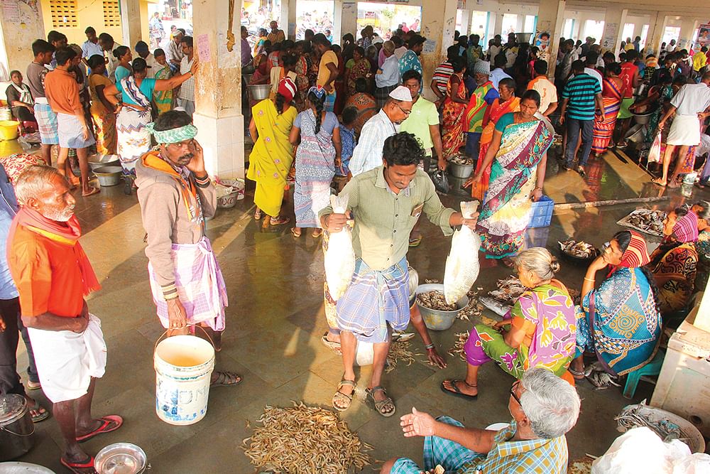 பழவேற்காடு மீன் மார்க்கெட்