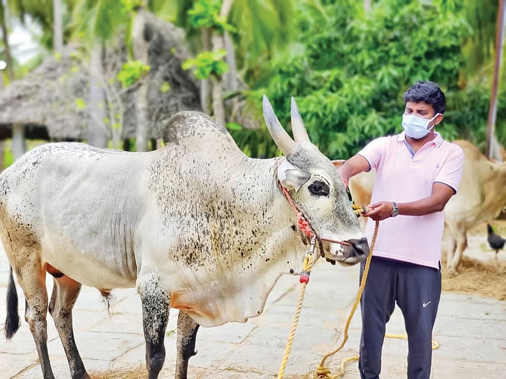 மந்திரி தந்திரி: சி.விஜயபாஸ்கர்