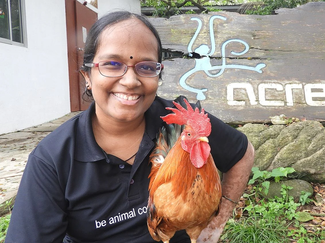 இந்த உலகம் எல்லா ஜீவராசிகளுக்குமானது! -
அன்பரசியின் அனிமல் லவ்