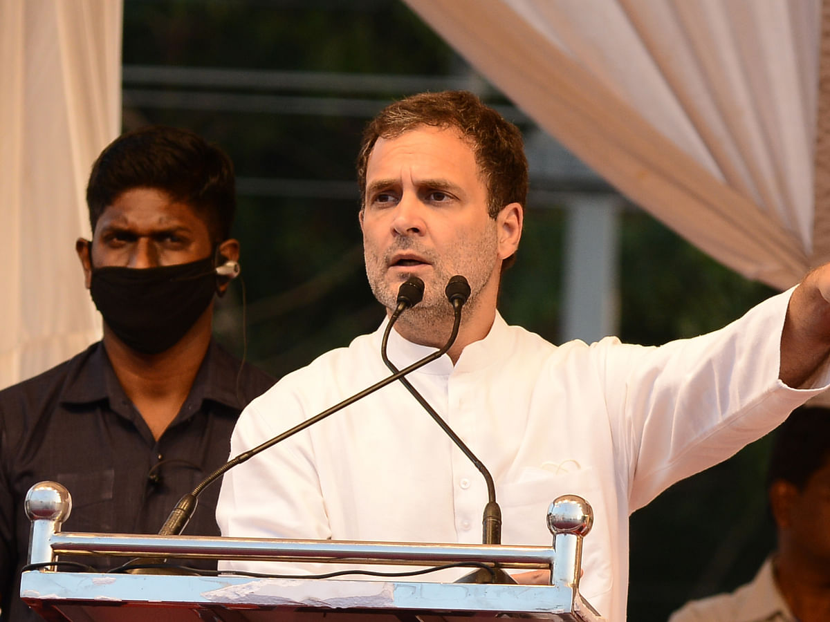 Rahul Gandhi: தற்காப்புக் கலையில் `Black Belt'; லண்டனில் வேலை; காங்கிரஸில் அரசியல் பயணம்!  