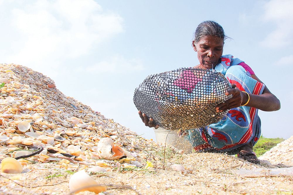 பெண்களின் வாழ்வாதாரமான சிப்பித்தொழில்