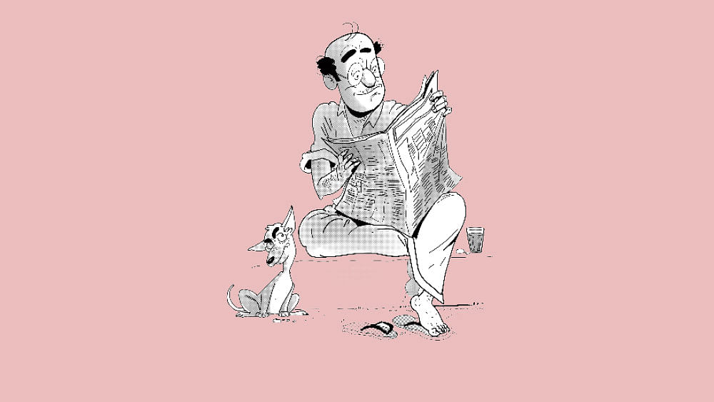 புள்ளிவிவரப் புலி