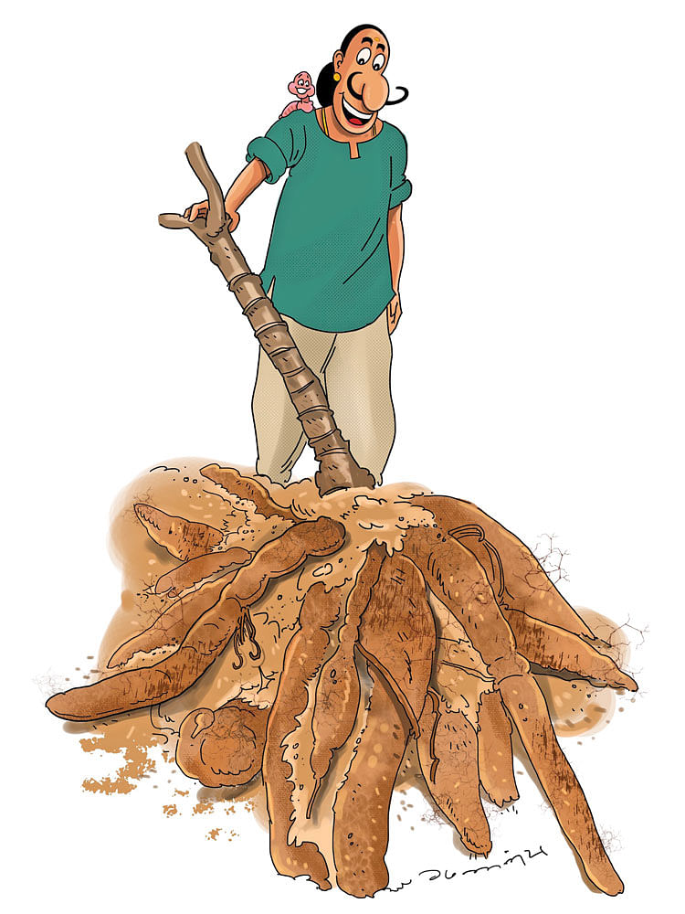மண்புழு மன்னாரு