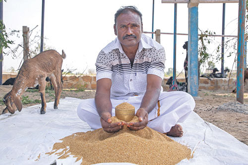 வரகுடன் பாலசுப்ரமணியன்