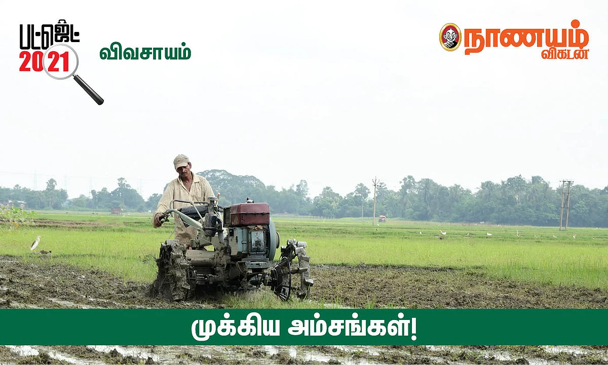 Agriculture