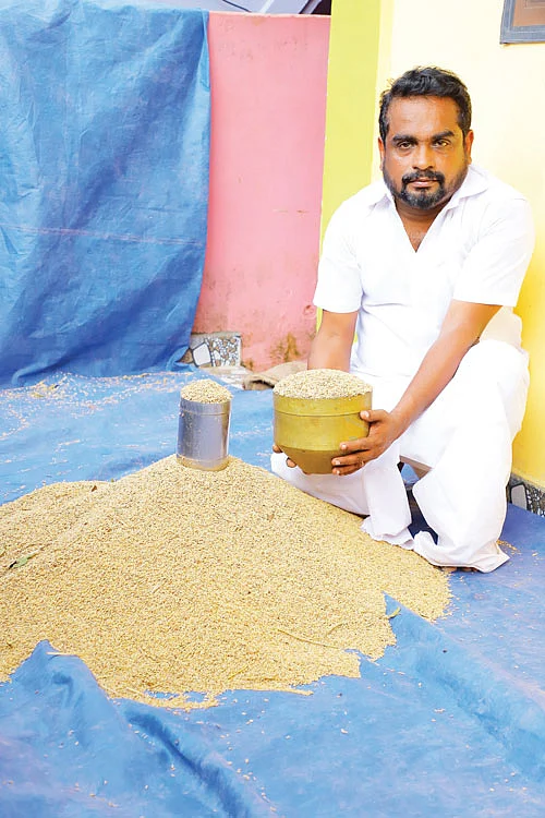 சீரகச் சம்பா நெல்லுடன் சிங்காரவேல்