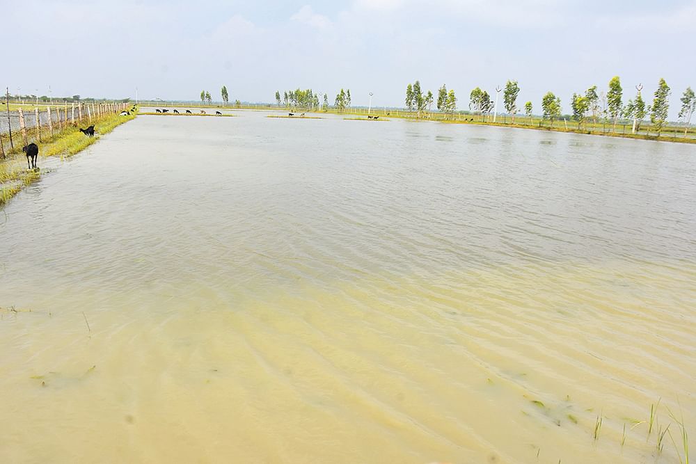 அமைச்சரின் நிலம்