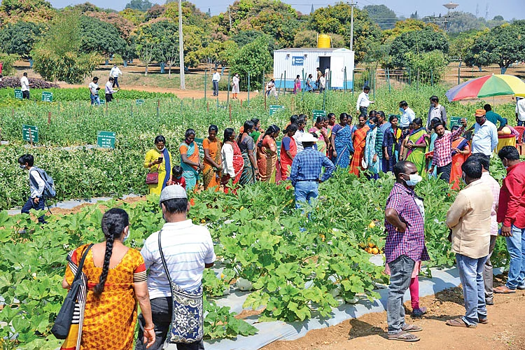 கண்காட்சியில்