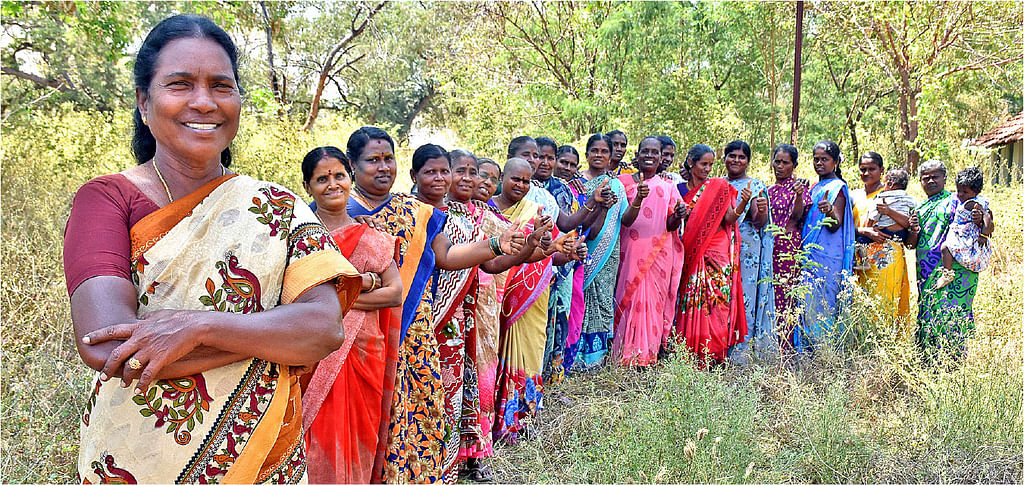 வெரோணிக்கா