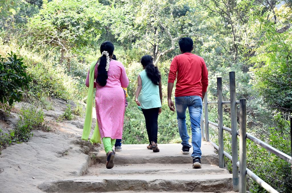Thirumoorthy Falls
