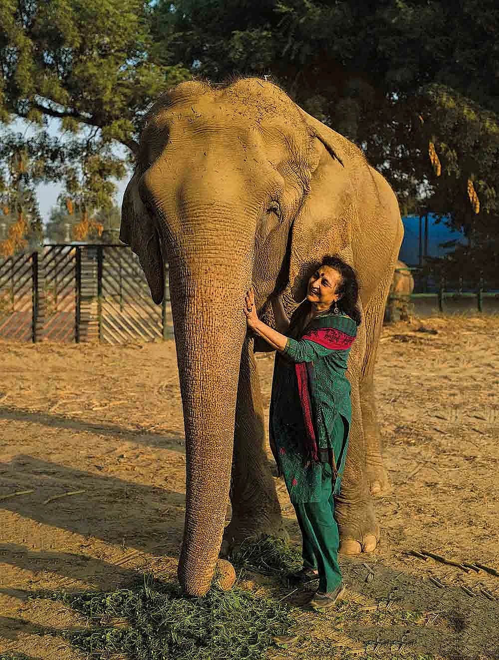 சேவைப் பெண்கள்! - 10 - எனக்குப் பல ஆயிரம் குழந்தைகள்! - ஆதரவற்ற விலங்குகளின் தாய் கீதா சேஷமணி