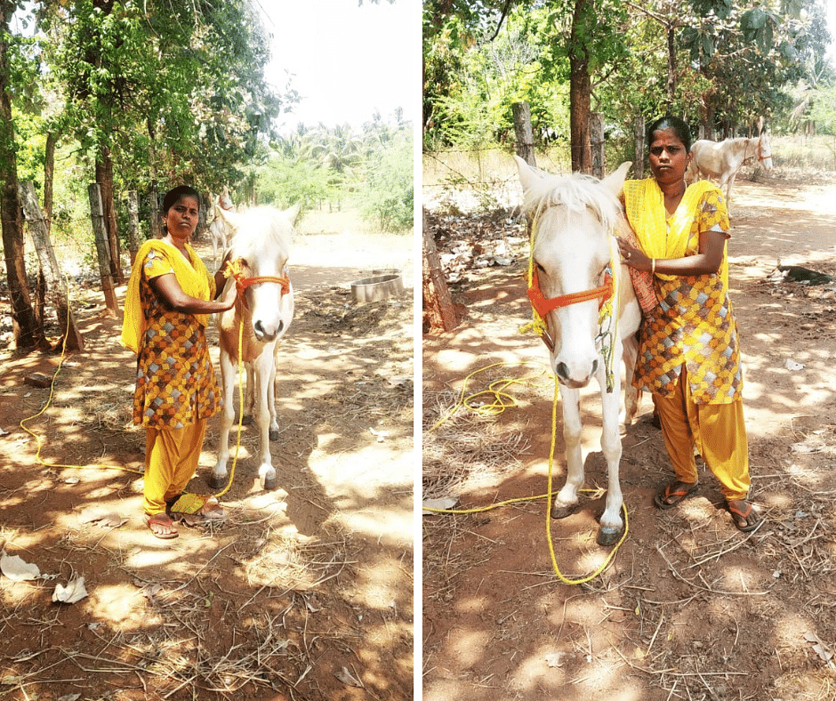 முயல் சத்யா வளர்க்கும் குதிரை