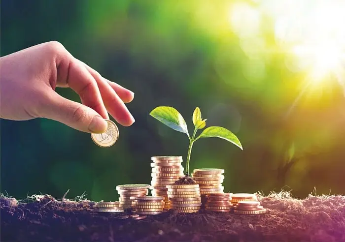 Investment (Representational Image)