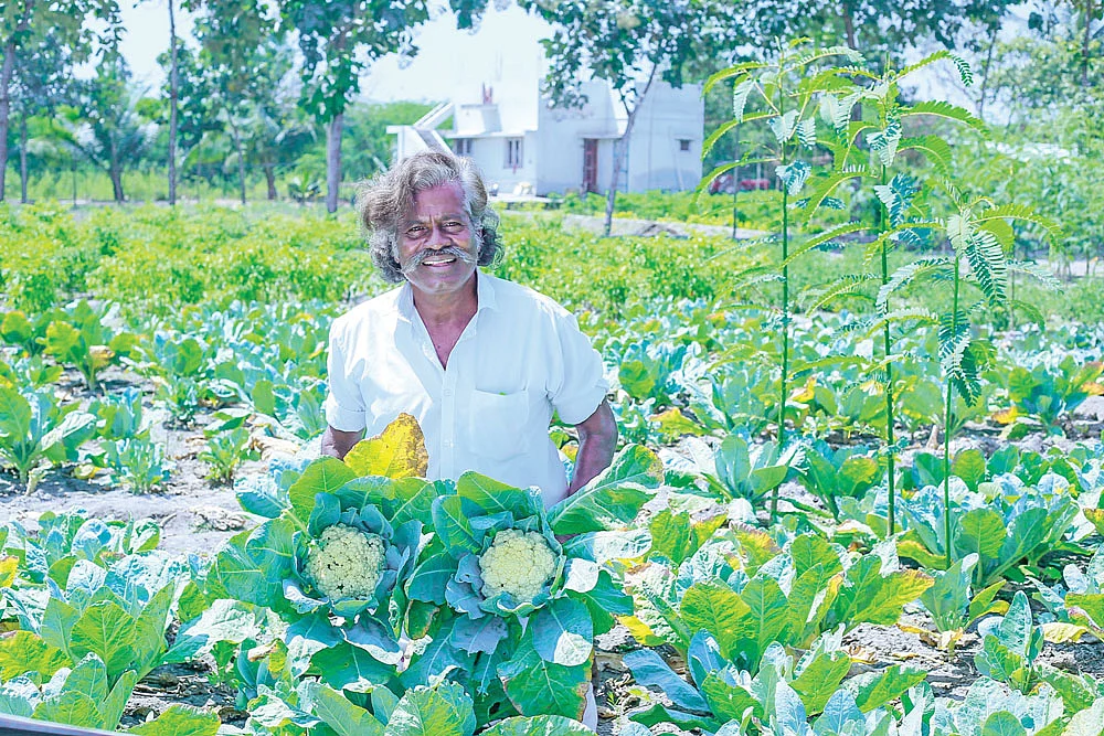 காலிஃப்ளவருடன்
