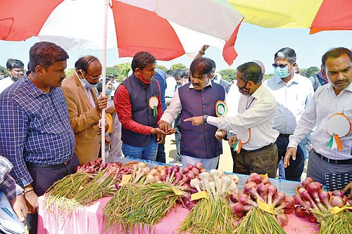 கண்காட்சியில்
