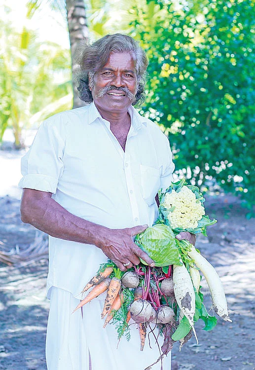 தோட்டத்தில் விளைந்த காய்கறிகளுடன்