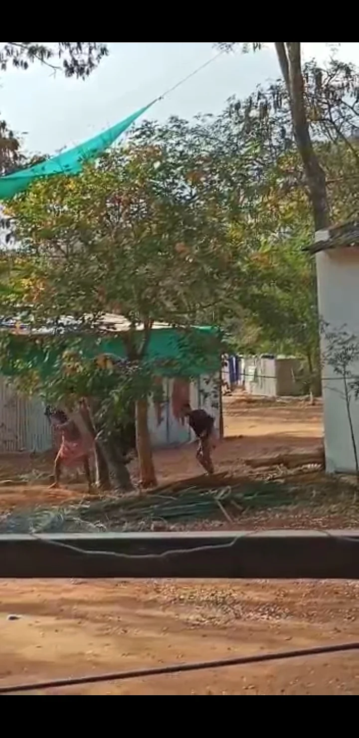 ஜெயமால்யதா யானை