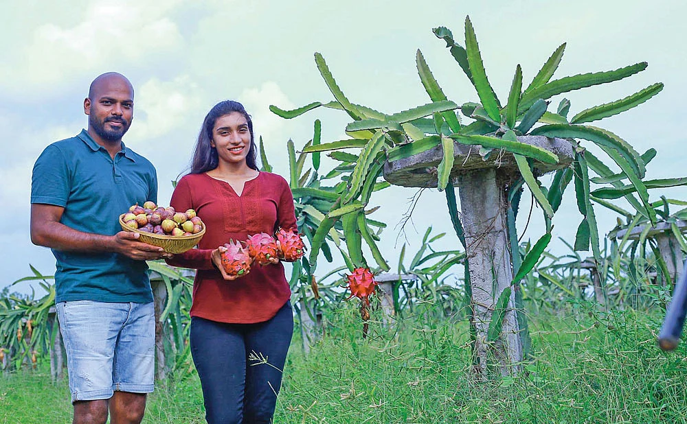 அத்தி, டிராகன் ஃபுரூட் பழங்களுடன் அமர்நாத் மற்றும் அவரது மனைவி