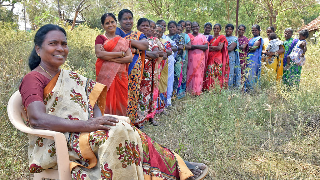 வெரோணிக்கா