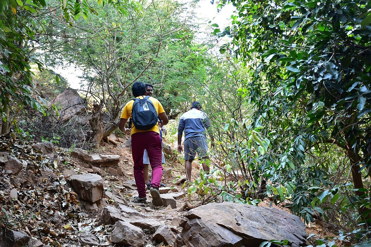 ட்ரெக்கிங்