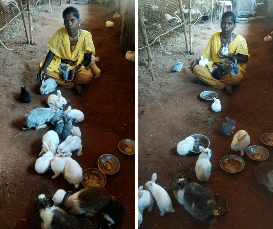 முயல் சத்யா