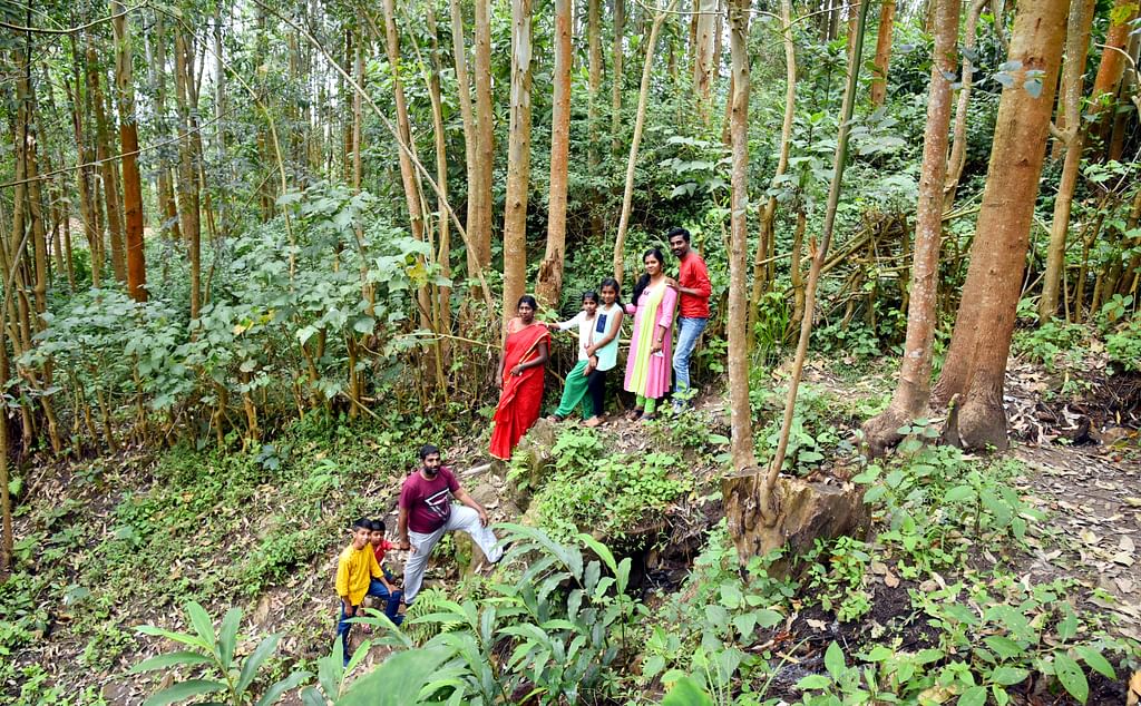 Forest Trek!