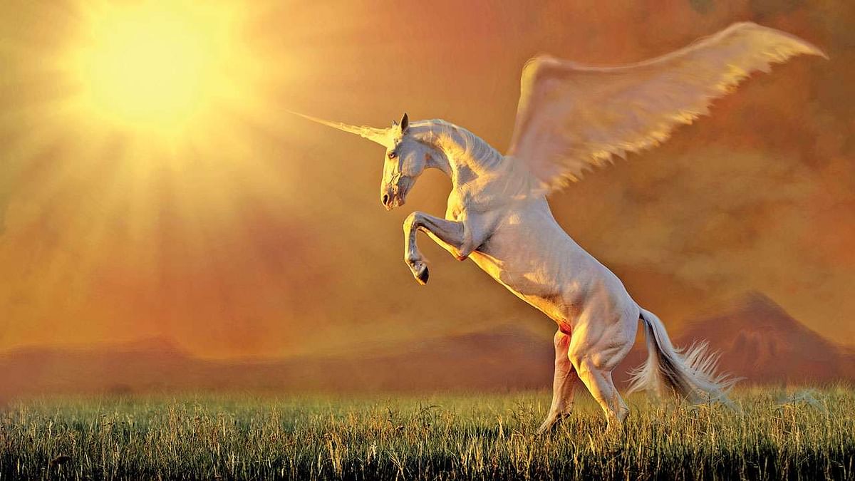 unicorn | யுனிகார்ன்