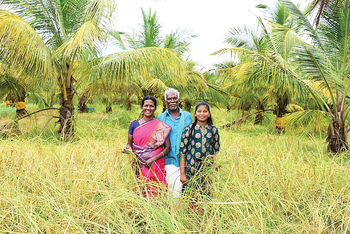 வயலில் தனது பேத்தியுடன் மாடசாமி-சந்திரா