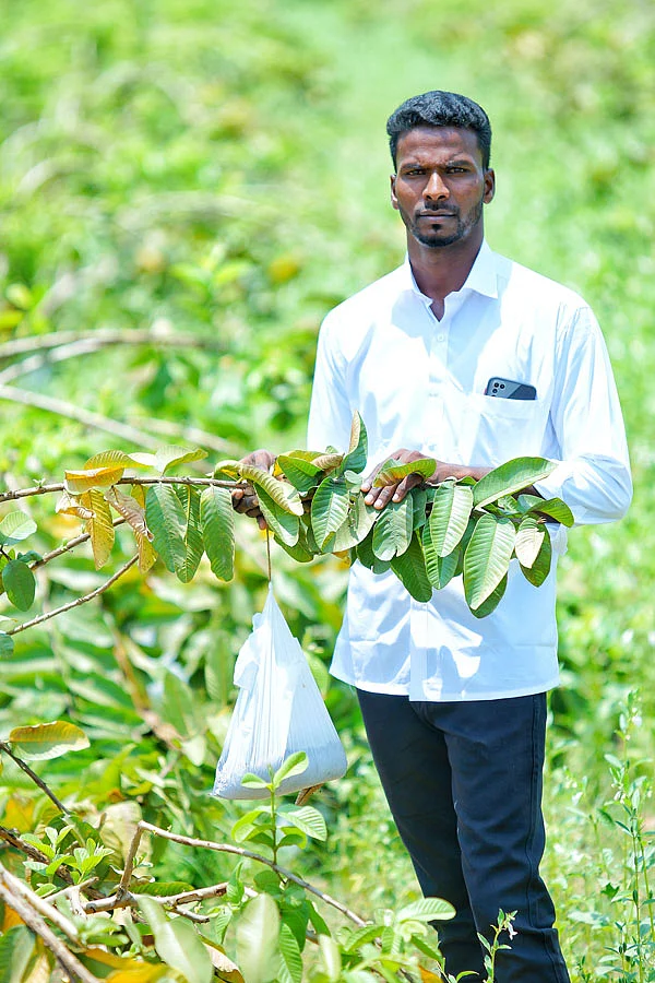 ஆறுமுகம்
