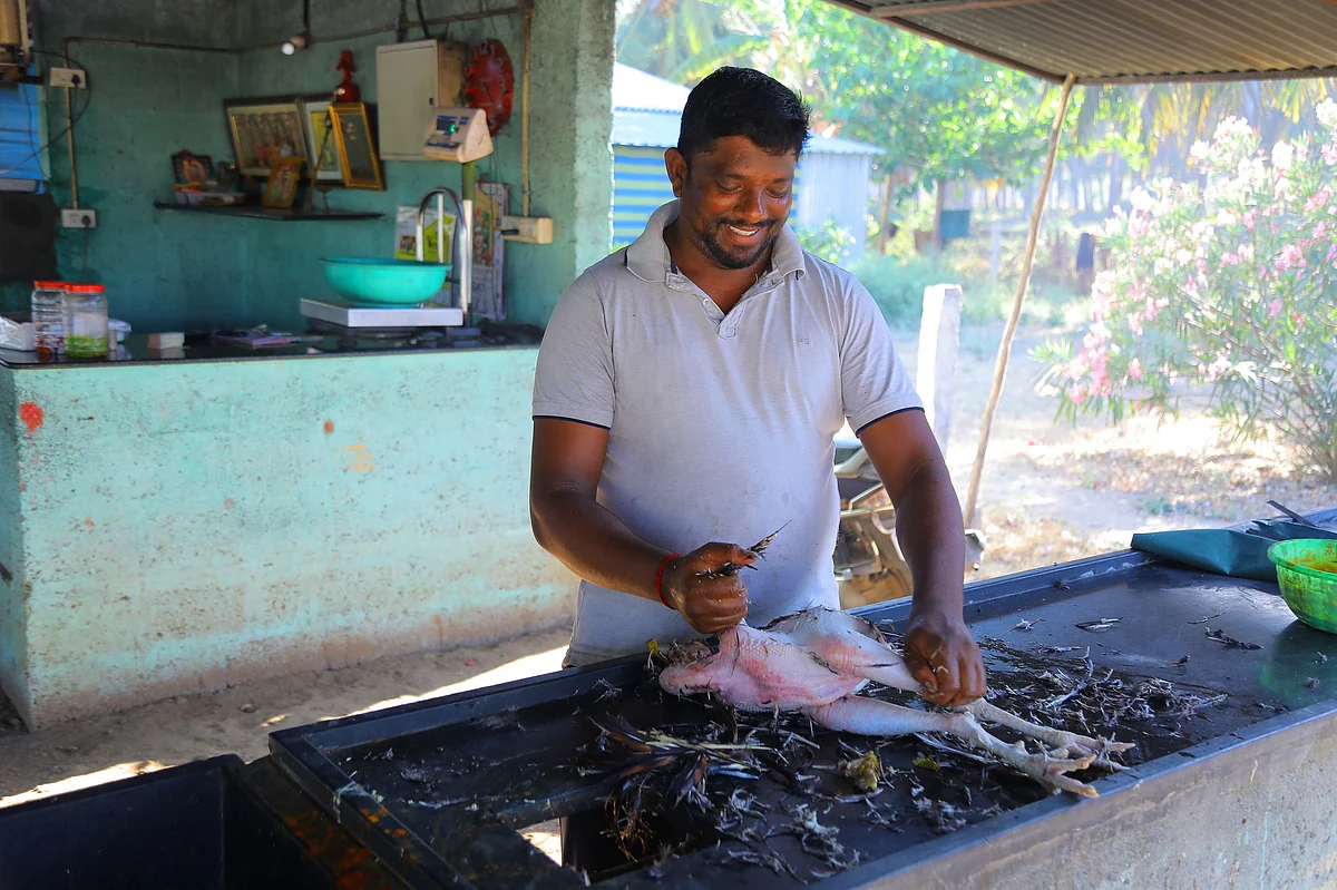 நாட்டுக்கோழி ஆன் தி ஸ்பாட் சமையல்