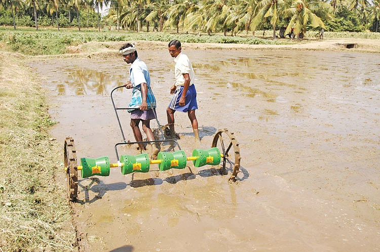 நேரடி நெல்விதைப்புக் கருவி