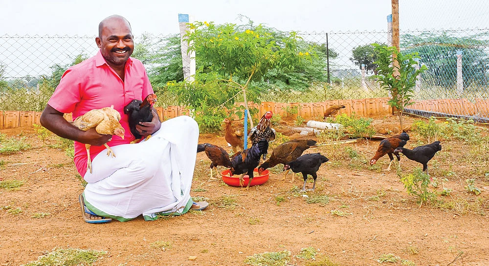 பண்ணையில் கோழிகளுடன் ஆறுமுகச்சாமி
