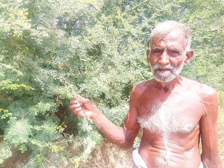 மோகன கிருஷ்ணன்
