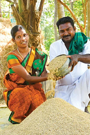 அறுவடையான நெல்லுடன் ராஜன் தம்பதி