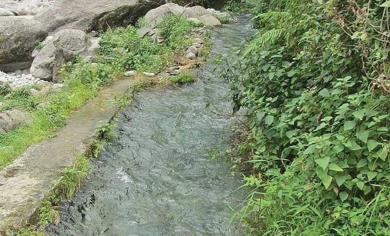 குல்ஸ்