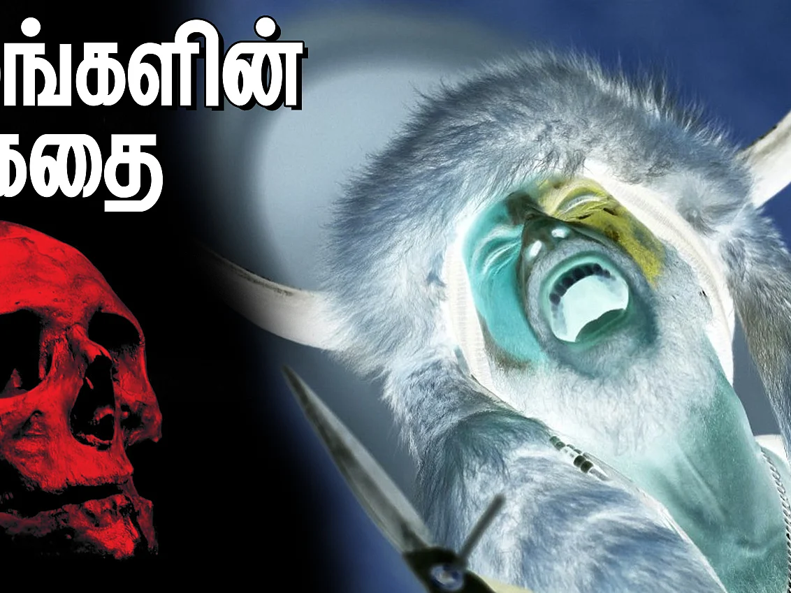 `மனிதர்களுக்கு விரைவில் கொம்பு முளைக்கப்போகிறது!’ ஏன் தெரியுமா? - மர்மங்களின் கதை | பகுதி-11