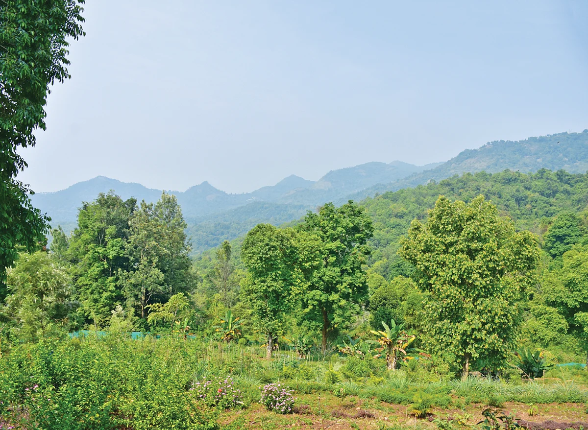பண்ணையில் எழில் தோற்றம்