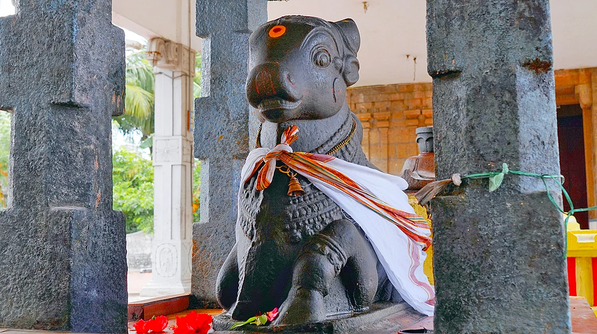 நந்தியெம்பெருமான்