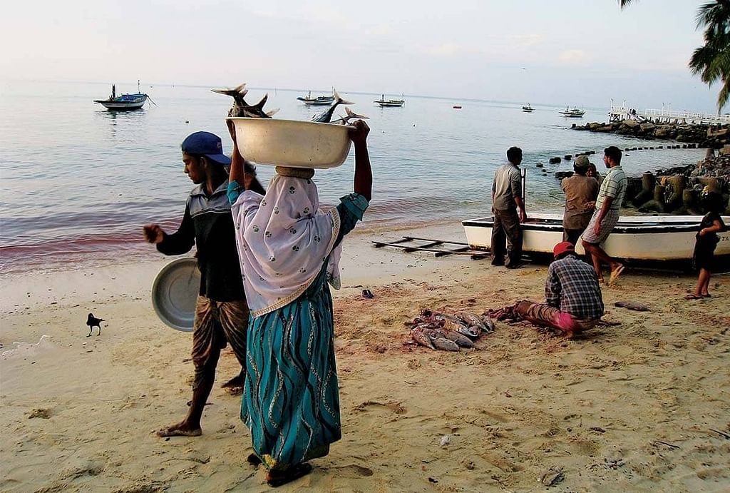 லட்சத்தீவு மீன்பிடித்தொழில்